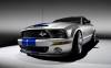 Ford_Shelby_Mustang_GT500KR_12.jpg